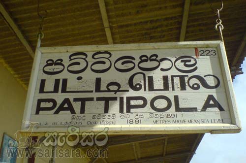 Pattipola Sri Lanka