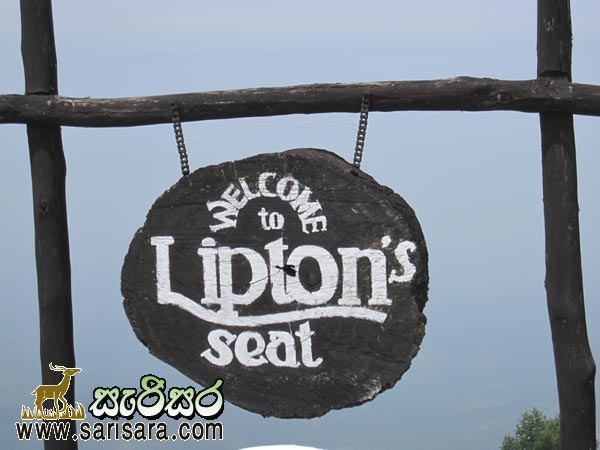 lipton Seat